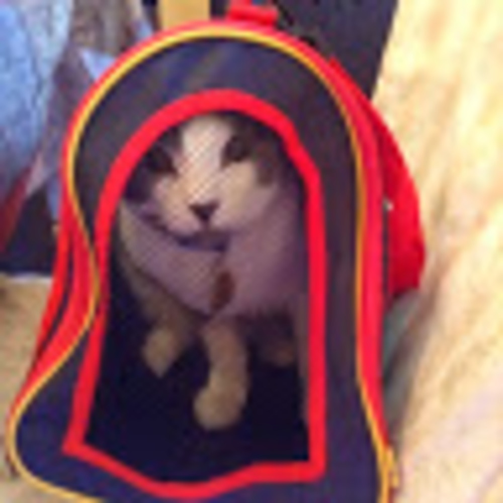 Meet your Posher, Jasmine